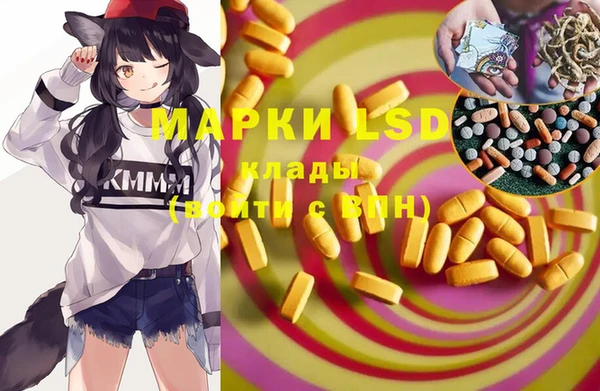 твердый Лагань