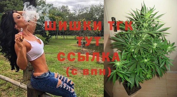 твердый Лагань