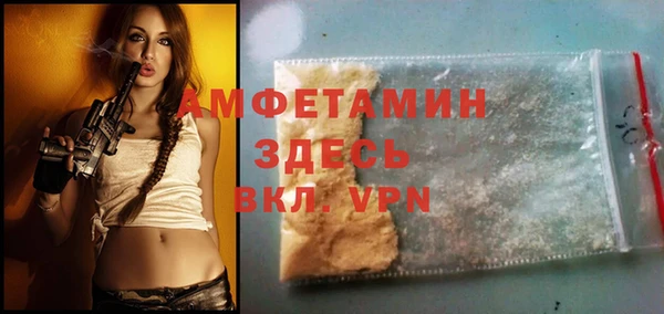 твердый Лагань