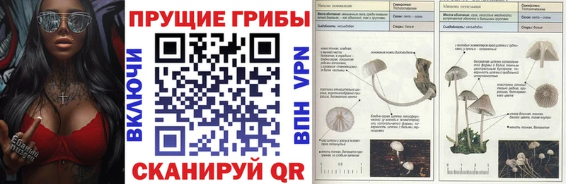 Псилоцибиновые грибы ЛСД  Никольское 